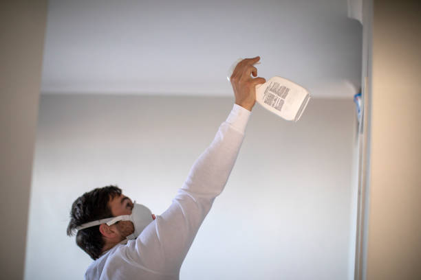 Best Attic Mold Removal  in , GA