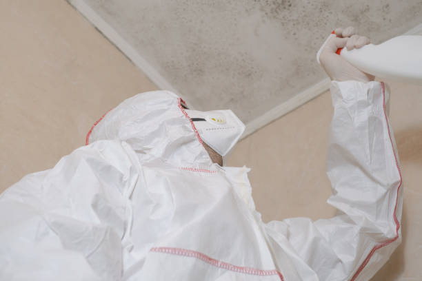 Best Toxic Mold Removal  in , GA